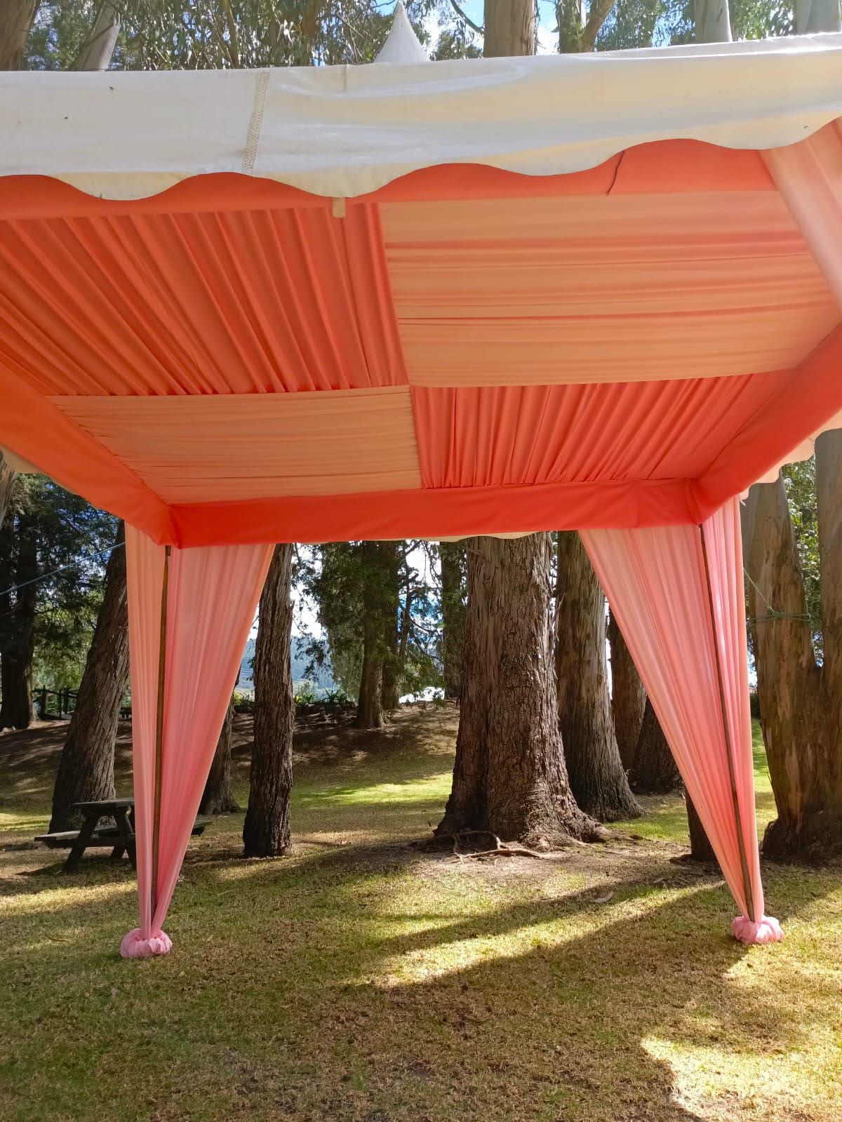 Tejido decorativo 1